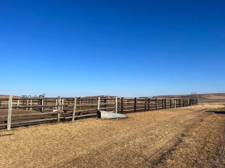 Commercial Property for Sale in Kestell Rural Free State